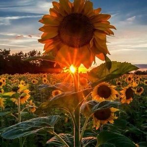 Meet your Posher, Angie